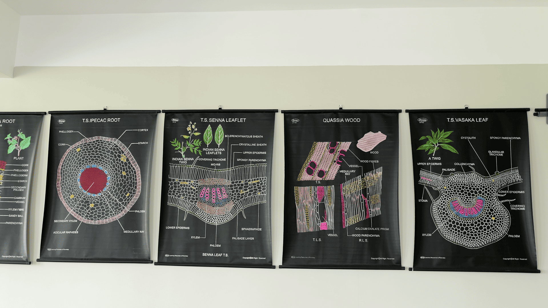 Pragjyotishpur University Guwahati Museum photo 3